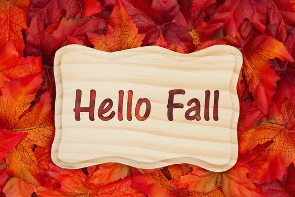 Hallo Herbst Ein Paar Herbstblätter Und Ein Holzrahmen Mit Text — Stockfoto