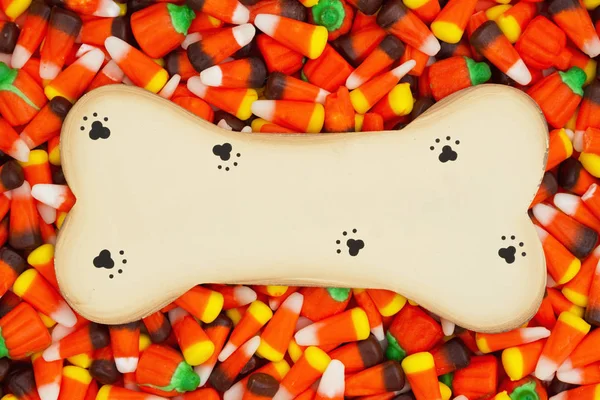 Halloween Caramelle Mais Con Zucche Caramelle Sfondo Con Osso Cane — Foto Stock