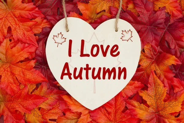 I love Autumn message, Some fall leaves and a heart shaped wood sign with text I Love Autumn