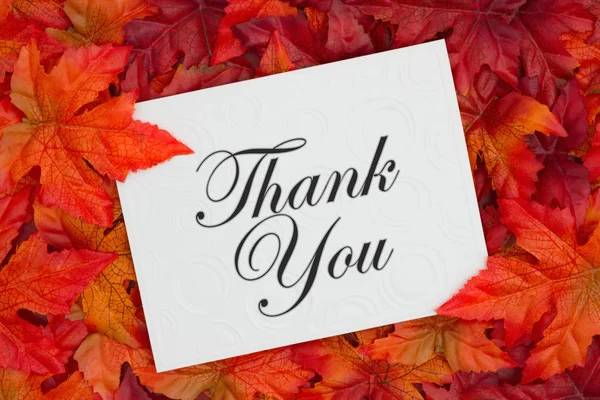 谢谢留言 一些秋天的叶子和一个浮雕白色贺卡与文本谢谢你 — 图库照片