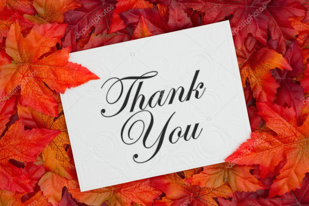 Thank you message, Some fall leaves and a embossed white greeting card with text Thank You