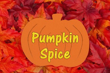 Kabak Spice metin, bazı sonbahar yaprakları ve metin kabak Spice ile ahşap bir kabak