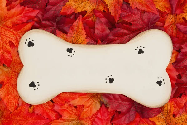 Pet Message Fall Season Some Fall Leaves Wood Dog Bone — Stock Photo, Image