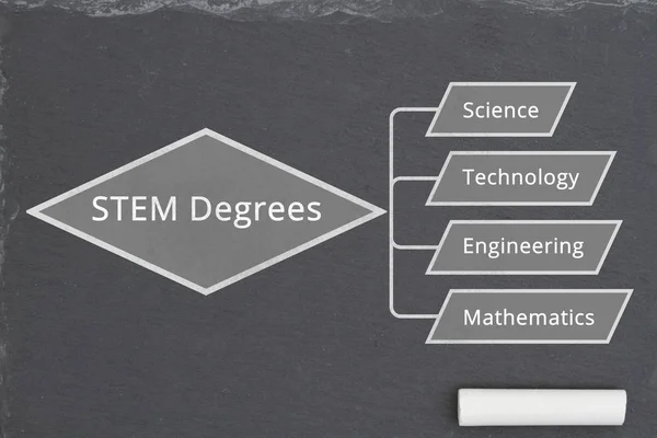 Stem Tutkintojen Oppiminen Stem Tutkintojen Mielikartta Liitutaululla Jossa Pala Liitua — kuvapankkivalokuva