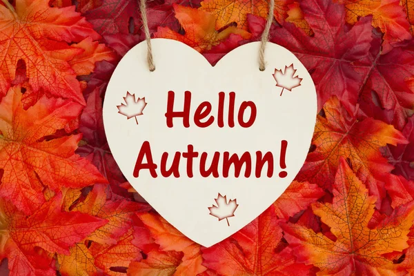 Hello Autumn Message Some Fall Leaves Heart Shaped Wood Sign — Stock Photo, Image