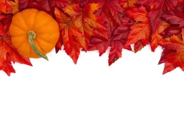 Fondo Otoño Con Una Calabaza Hojas Otoño Rojas Anaranjadas Aisladas —  Fotos de Stock