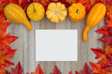 Su kabakları ve boş bir tebrik kartı ile sonbahar yapraklarda mesajınız için kopya alanı ile yıpranmış ahşap sonbahar arka plan