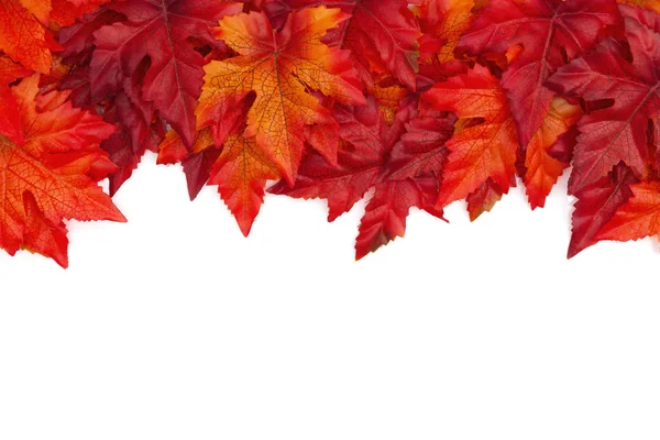 Herfst Achtergrond Met Rode Oranje Val Laat Geïsoleerde Wit Met — Stockfoto