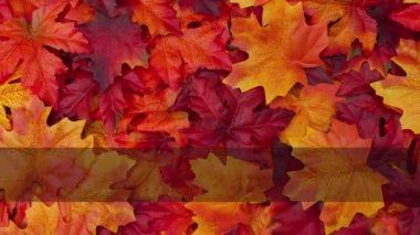 Mutlu Şükran Günü tebrik kartları.