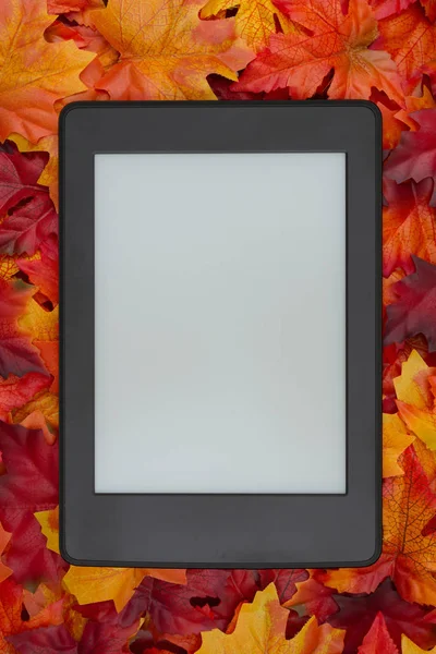 秋天的阅读会上的空白电子阅读器 你可以用它来模拟你的信息 — 图库照片