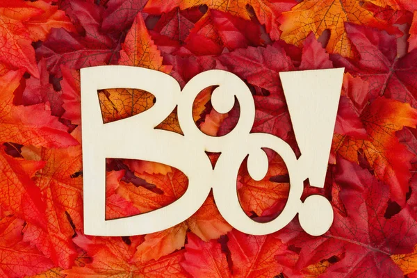 Хэллоуин Приветствие Некоторые Осенние Листья Деревянный Знак Текстом — стоковое фото