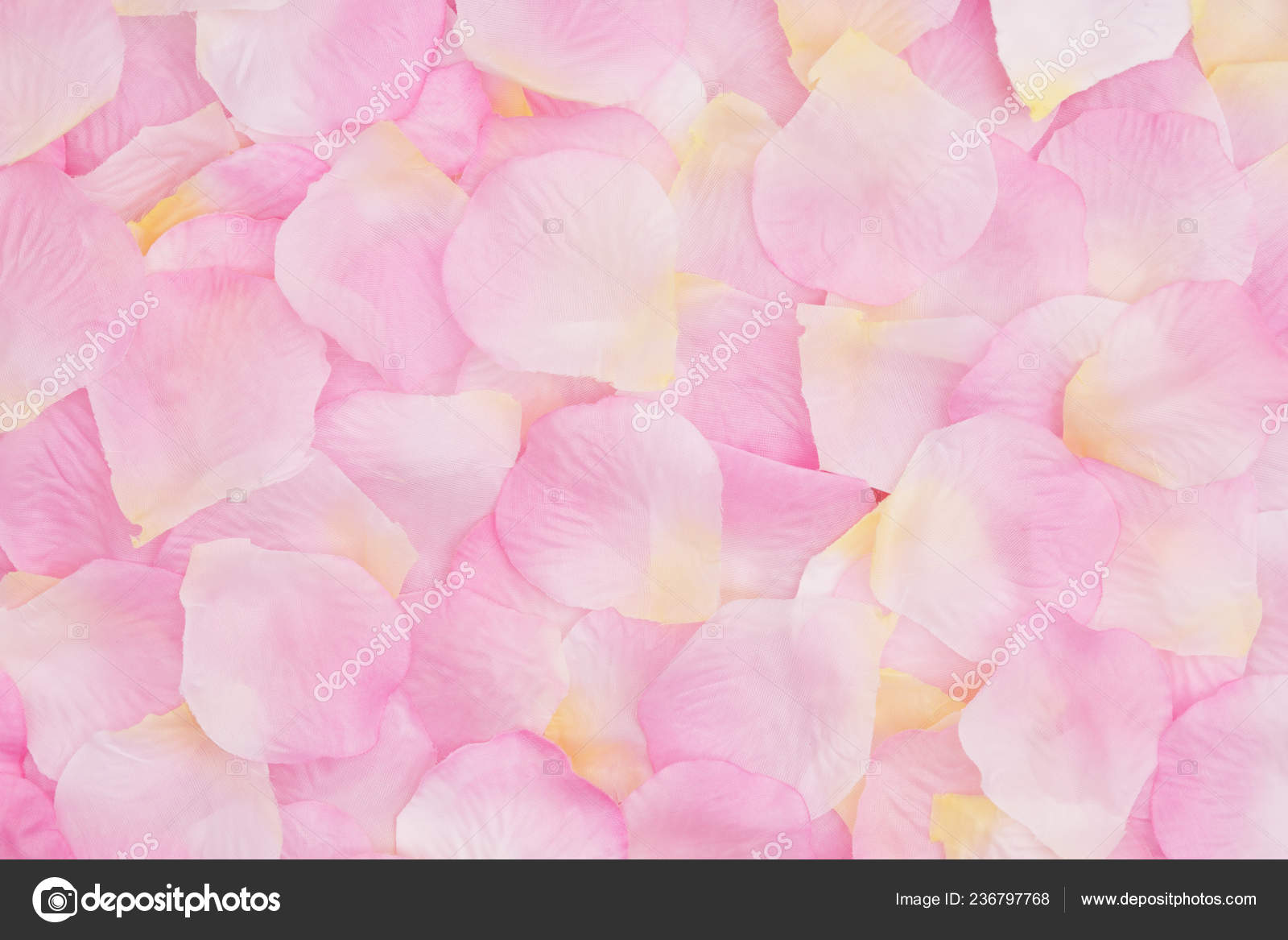 Rose Petals – Floral Design By Heidi