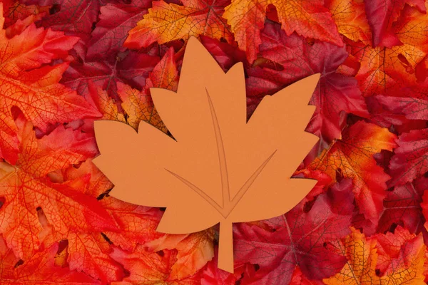 あなたのメッセージをコピー スペースと秋のシーズン いくつかの秋の葉と木のカエデの葉のメッセージ — ストック写真