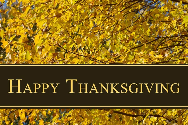 Happy Thanksgiving Greeting — Stock Photo, Image