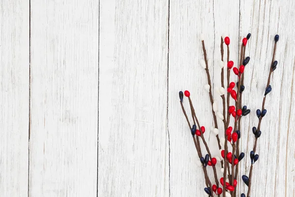 Spray di bacche rosse, bianche e blu su calce imbiancata con texture — Foto Stock