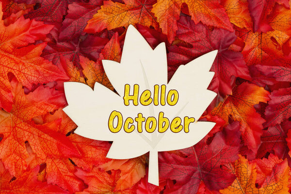 Hello October text on wood maple leaf  with fall leaves for the 
