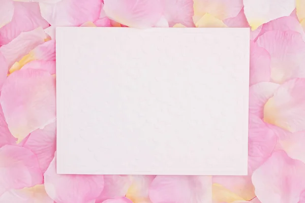 Blank love greeting card on pink rose flower petals — Stock Photo, Image