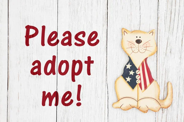 Por favor adoptame texto con gato patriótico americano — Foto de Stock