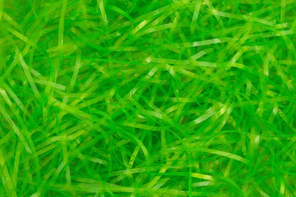 Easter green grass background for the holiday — Stock Photo, Image