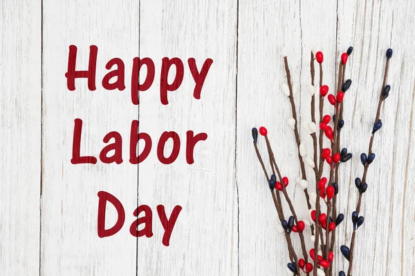 Happy Labor Day text with red, white and blue berry spray — Stock Photo, Image