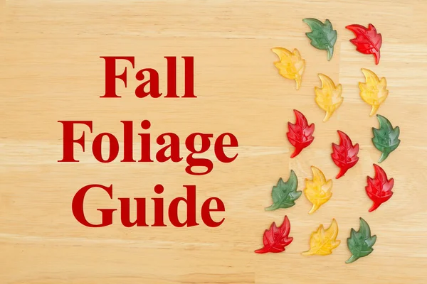 Automne feuillage guide message avec verre feuilles de chute — Photo