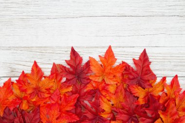 Kırmızı ve turuncu sonbahar yıpranmış badana ahşap dokulu yaprakları 