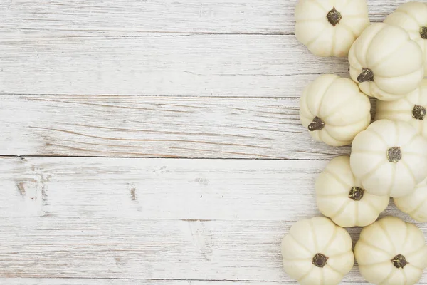White pumpkins on weathered whitewash wood textured background — Stock Photo, Image