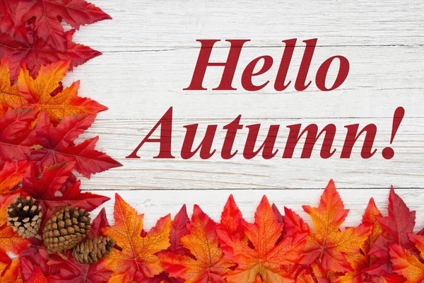 Hello Autumn message with red and orange fall leaves with pine c — Stock Photo, Image