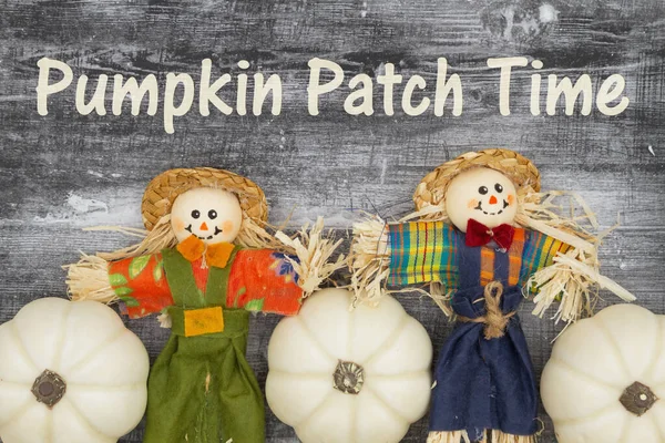 Pumpkin Patch Komunikat czasowy z białymi dyniami ze strachem na jesień — Zdjęcie stockowe