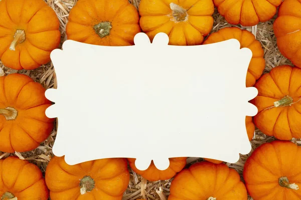 Beige metal fancy sign on pumpkins and a straw hay background — Stock Photo, Image