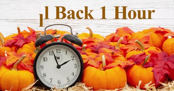 Fall Back Órás Időváltás Üzenet Retro Ébresztőórával Sütőtökkel Őszi Levelekkel — Stock videók