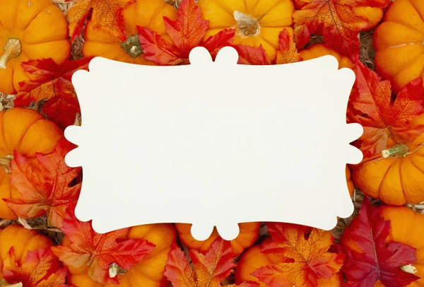 Beige metalen fancy bord op pompoenen met herfst bladeren en een rietje — Stockfoto