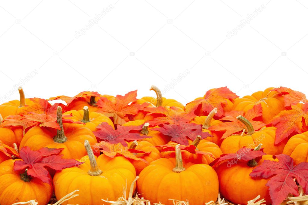 Orange pumpkins with fall leaves on straw hay background isolate
