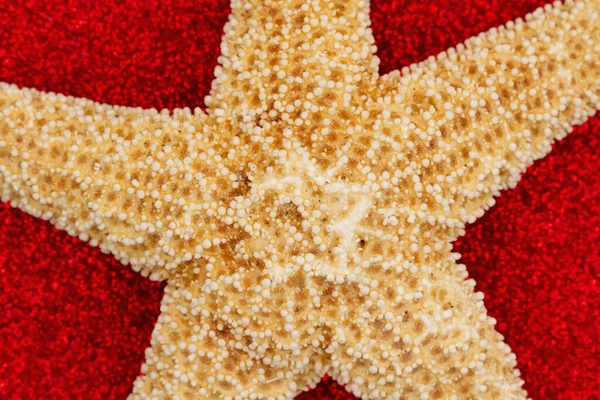 Closeup Uma Estrela Mar Papel Texturizado Brilho Vermelho Com Uma — Fotografia de Stock