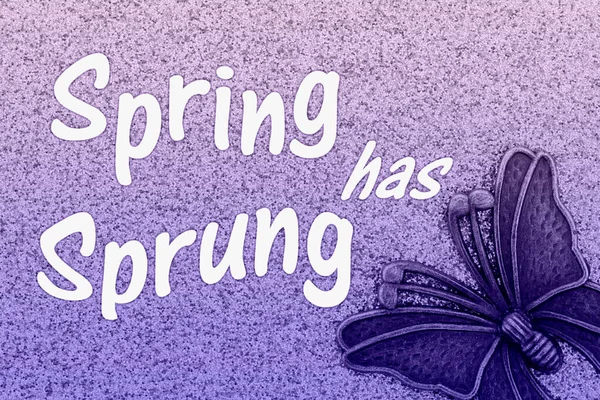 Spring Has Sprung Word Message Metal Butterfly Purple Glitter Paper — Stock Photo, Image