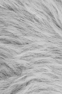 İleti için kopya alanı olan ya da doku olarak kullanılan gri kürk desenli malzeme arkaplanı 