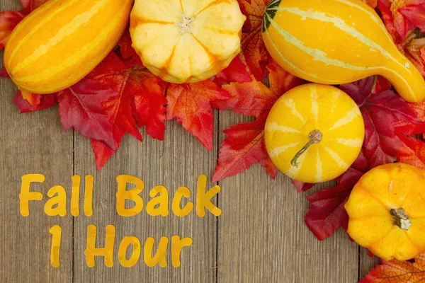 Time Change Message Fall Back Hour Message Gourds Fall Leaves Stock Snímky