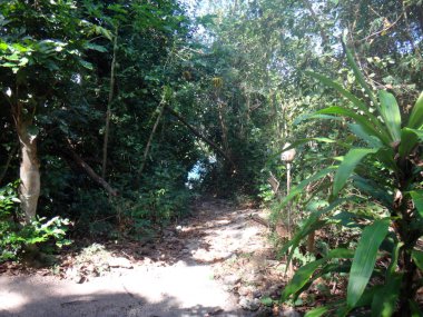 Sahne ülkenin dışında Vila,: Efate, Vanuatu.