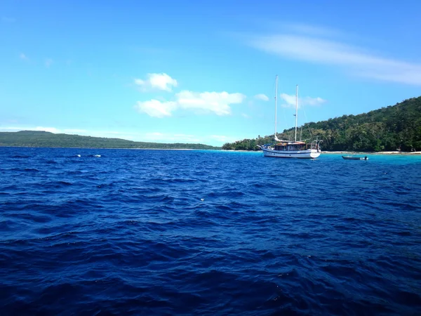 Scena Tranquillità Isola Efate Vanuatu — Foto Stock
