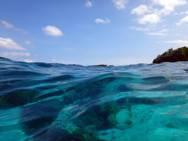 Sealife Ηρεμία Του Νησιού Efate Βανουάτου — Φωτογραφία Αρχείου