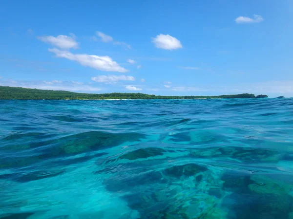 Sealife Спокою Острів Efate Вануату — стокове фото