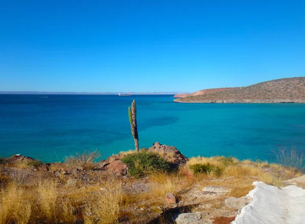 Scène Van Paz Baja California Sur Mexico — Stockfoto