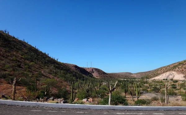 Escena Paz Baja California Sur México — Foto de Stock