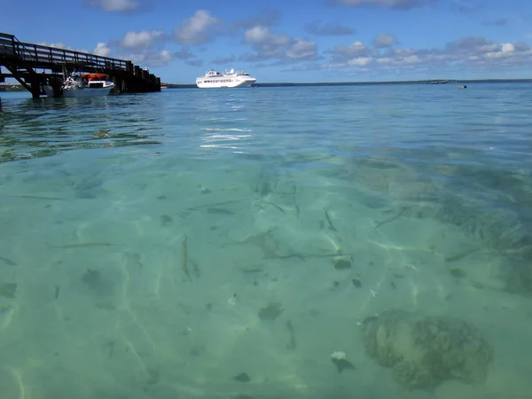 Вид Залив Джинек Иасо Лифу Островов Луайоте Нумеа — стоковое фото