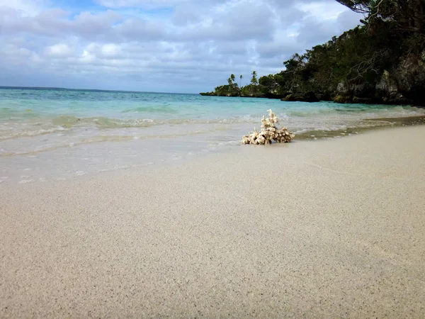 Вид Залив Джинек Иасо Лифу Островов Луайоте Нумеа — стоковое фото