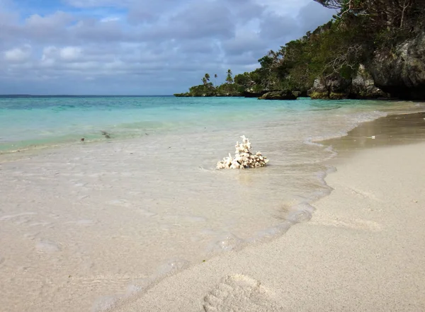 从埃索 洛亚蒂群岛 努美阿欣赏吉内克湾的景色 — 图库照片