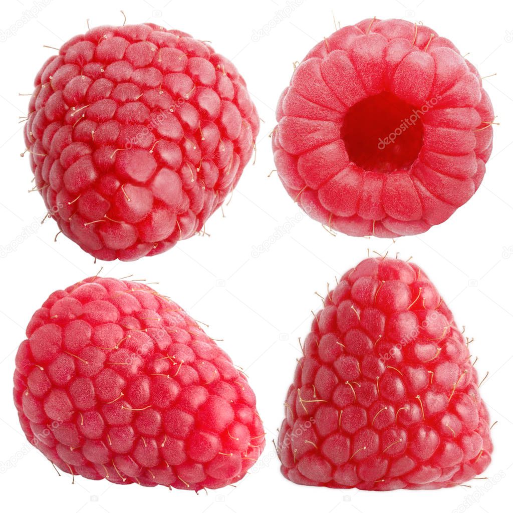 Isolated berries. Set of four whole raspberry fruits isolated on white background with clipping path as package design element and advertising.