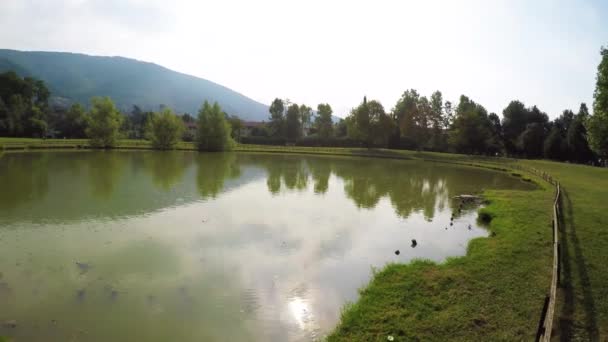 カメを水泳で公園の池 晴れた日に公園の池で泳いで水生のカメ 静的射撃 — ストック動画