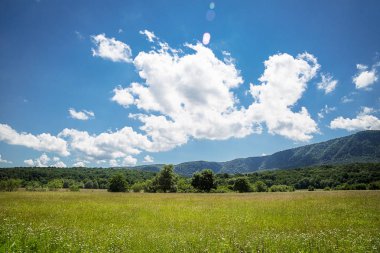 Olarak bir zemin kopya alanı ile Beautyful yaz manzara