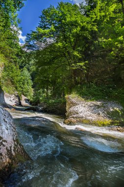 Guam gorge, Krasnodar Rusya güzel görünümü